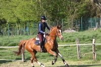Tournoi du 18 mai 2025 - Hunter, Equifun et Derby cross