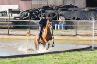 Concours de Derby cross du 13 avril 2024